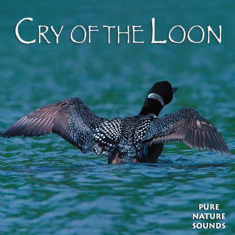 Cry of the Loon - NATURESCAPES