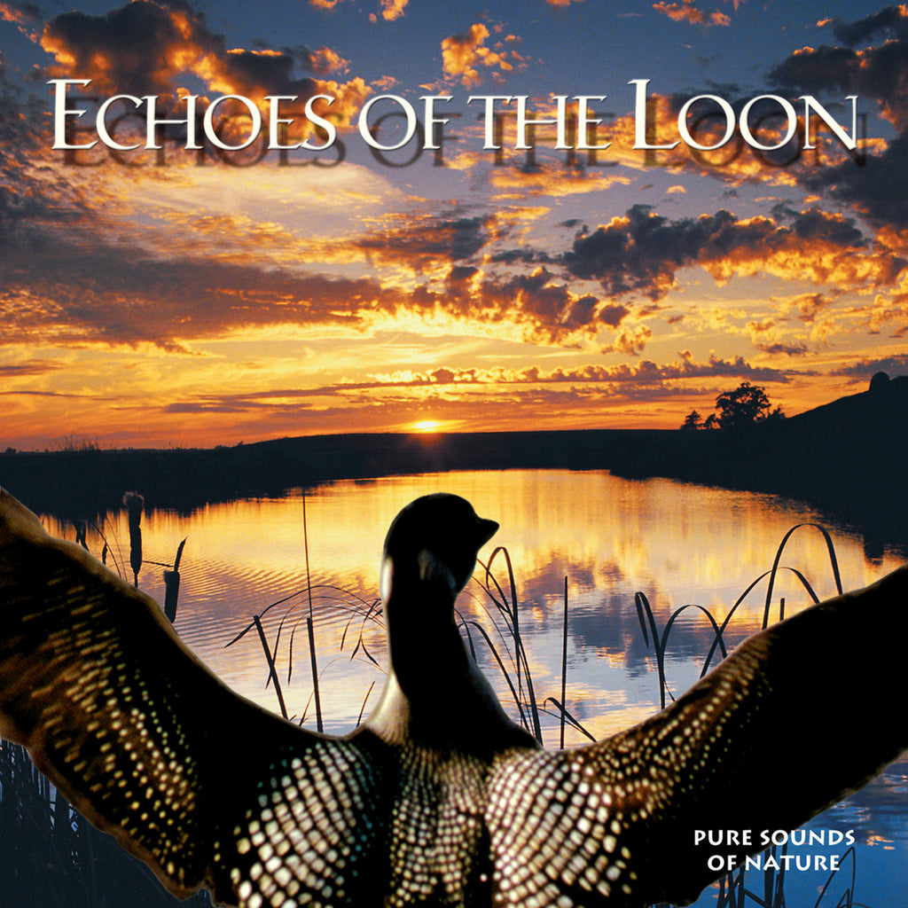 Echoes of the Loon - NATURESCAPES