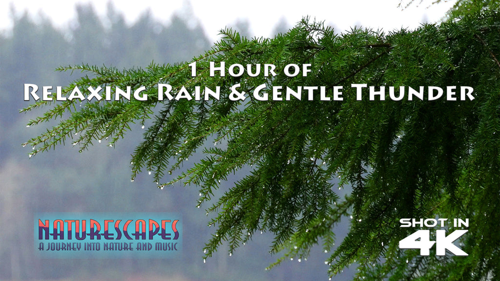 I hour of Relaxing Rain and Gentle Thunder 4K - John of Light, Naturescapes