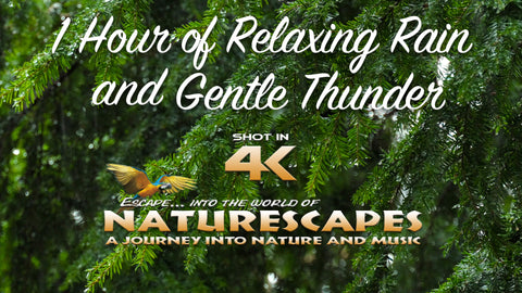 1 Hour of Relaxing Rain and Gentle Thunder