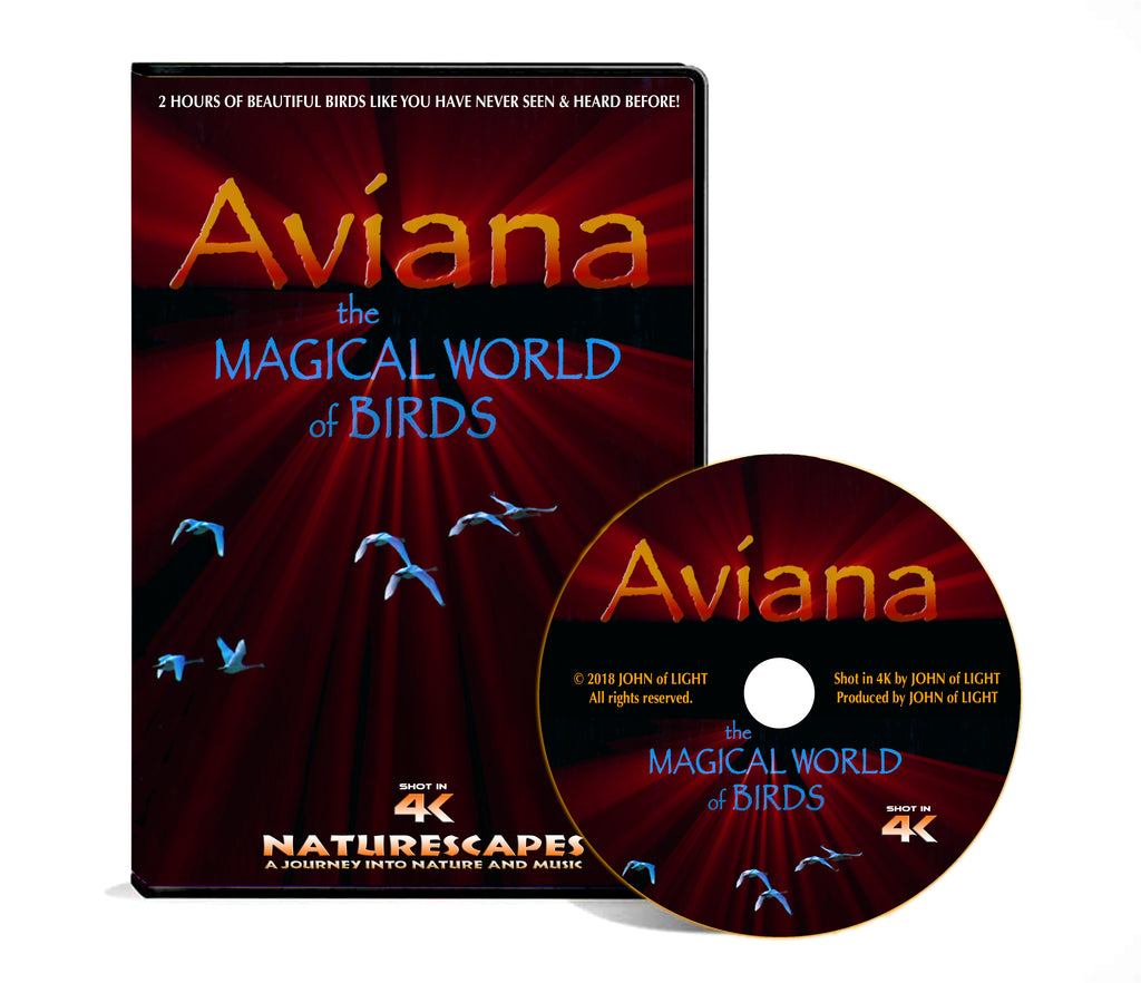 AVIANA - The Magical World of Birds