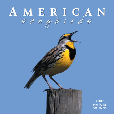 American Songbirds - NATURESCAPES