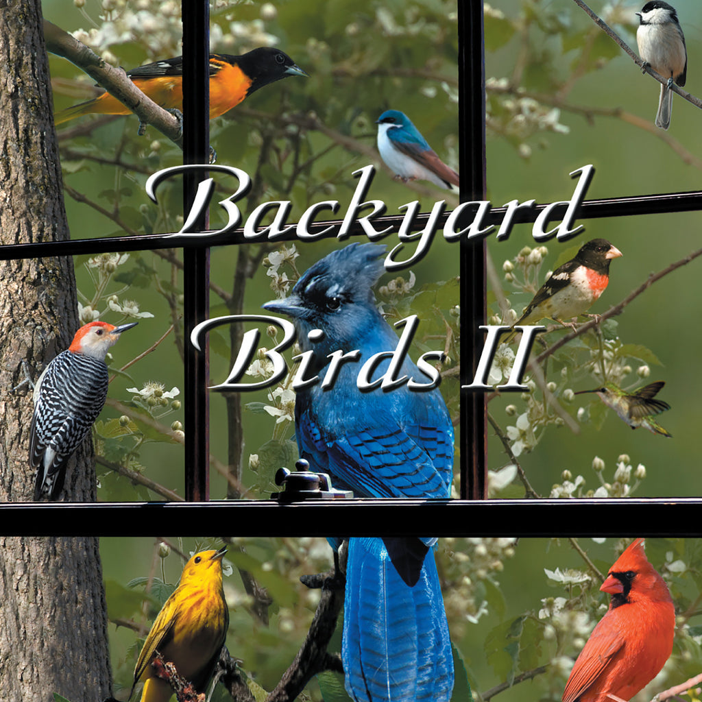 Backyard Birds II - NATURESCAPES