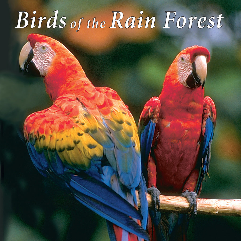 Birds of the Rain Forest - NATURESCAPES