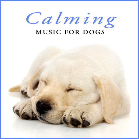 Calming Music for Dogs