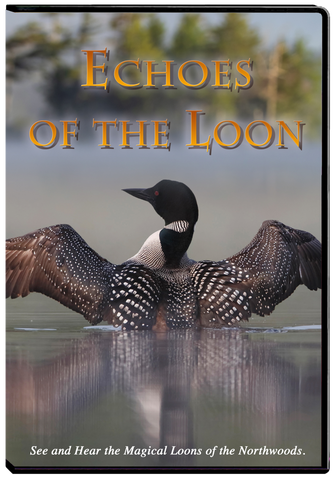 Echoes of the Loon