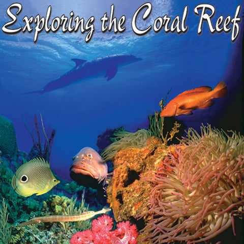 Exploring the Coral Reef - John of Light
