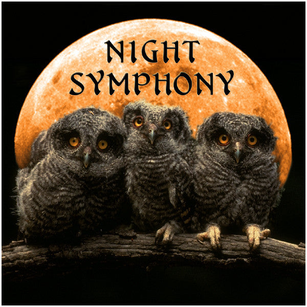 Night Symphony - Naturescapes Music