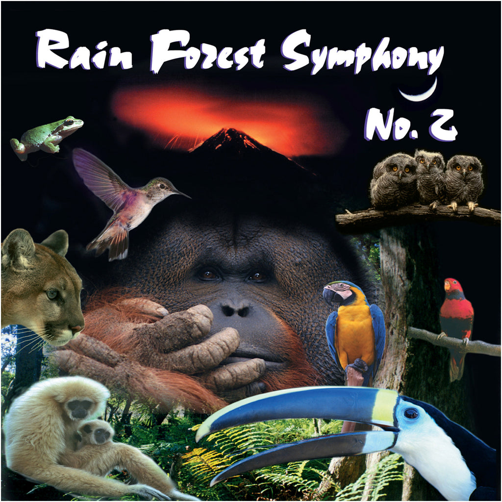 Rain Forest Symphony II - John of Light