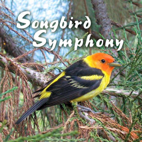 Songbird Symphony - NATURESCAPES
