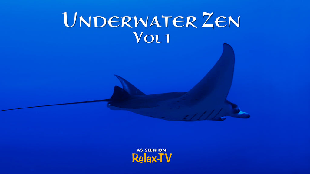 Underwater Zen - John of Light